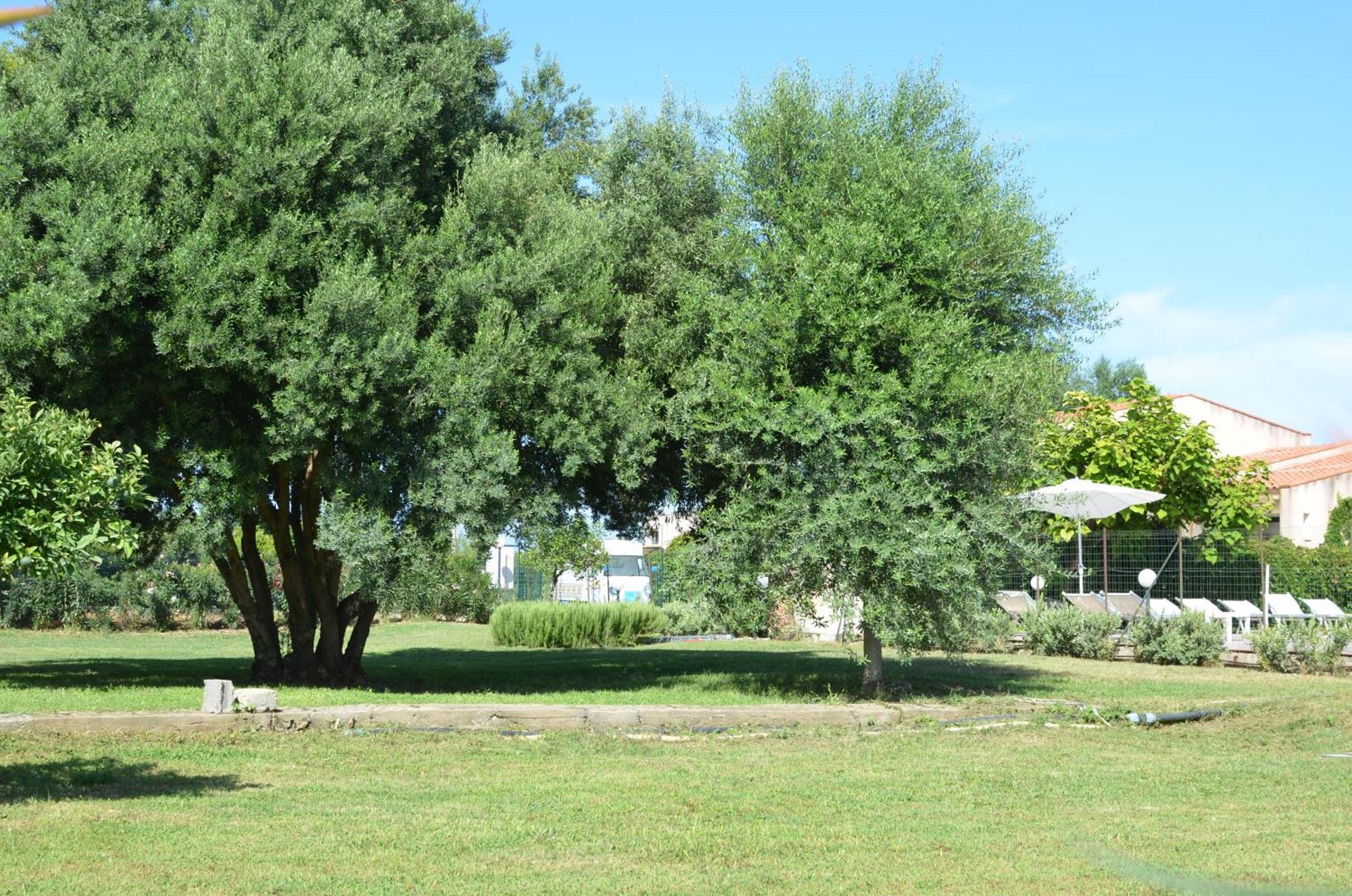 Villa Teti - Sicilia Кампофеличе ди Рокела Екстериор снимка